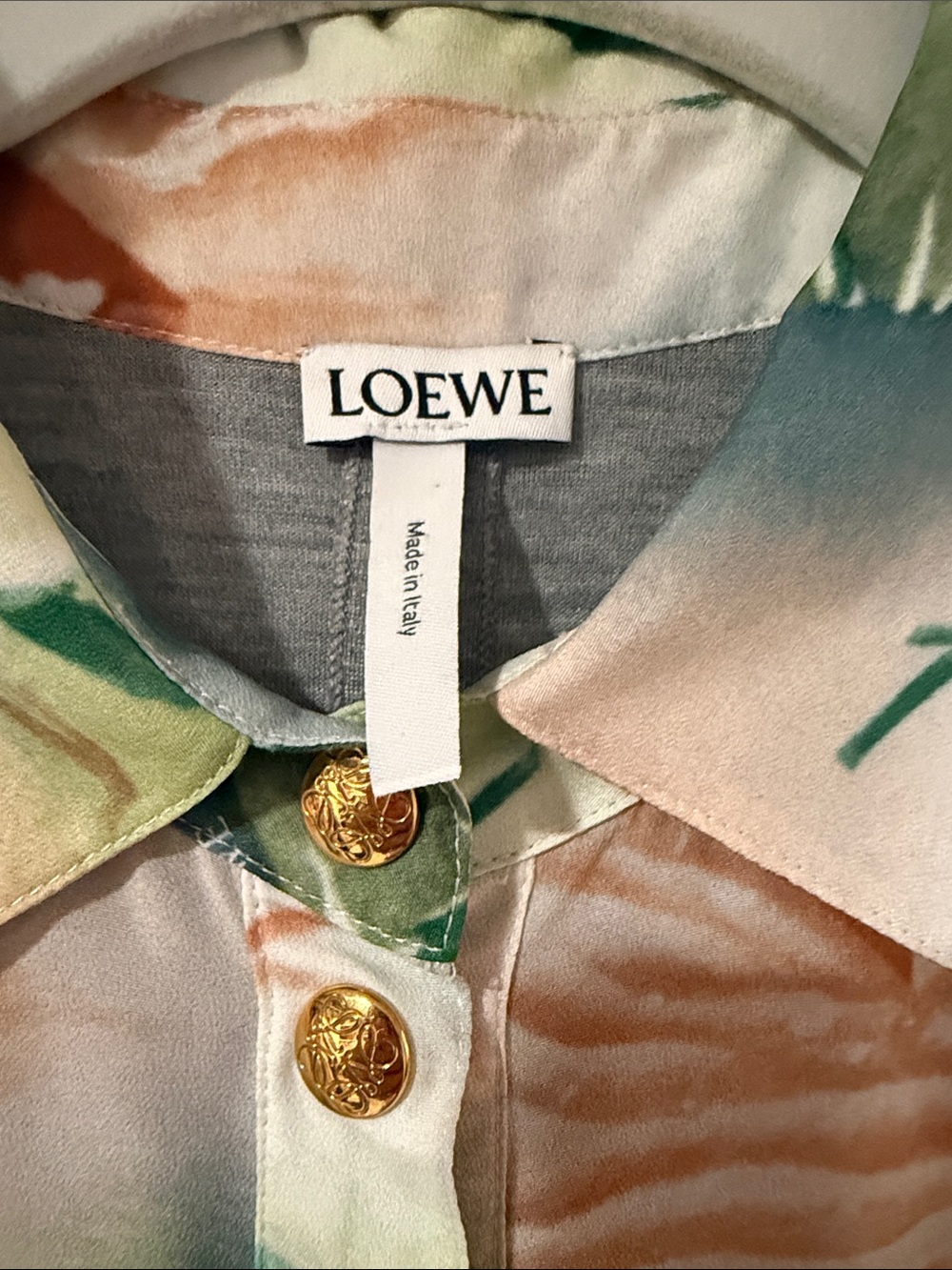 Loewe Printed Button-Front Maxi Dress in Green, Cream and Brown - Picture 2 of 9